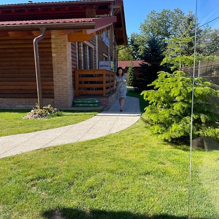 Villa Diva Budureasa Eksteriør billede