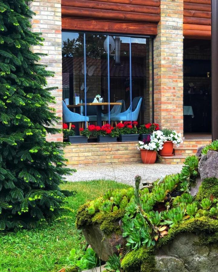 Villa Diva Budureasa Eksteriør billede