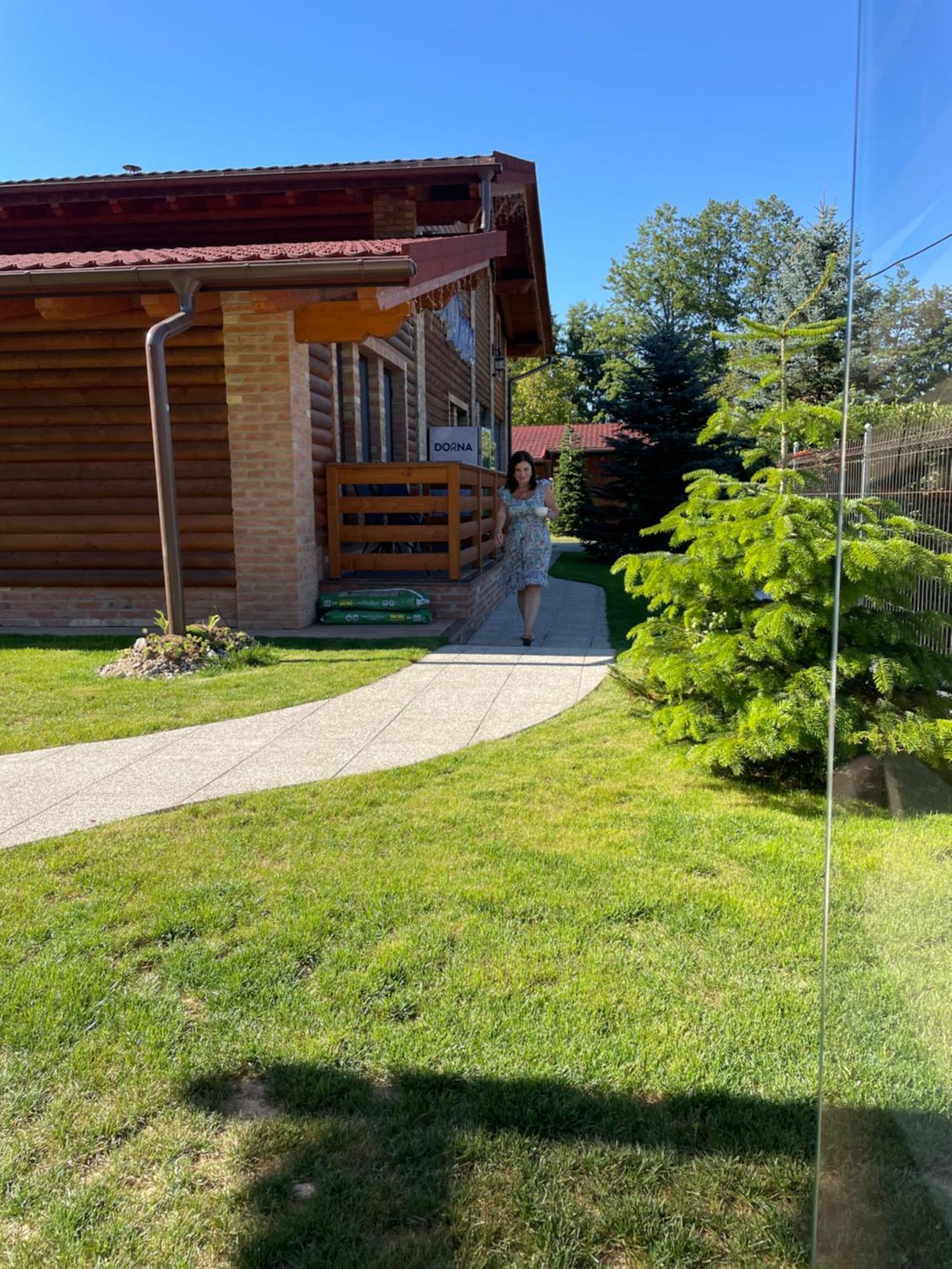 Villa Diva Budureasa Eksteriør billede