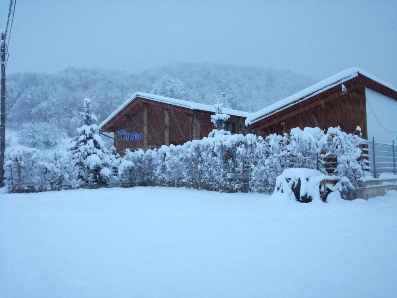Villa Diva Budureasa Eksteriør billede